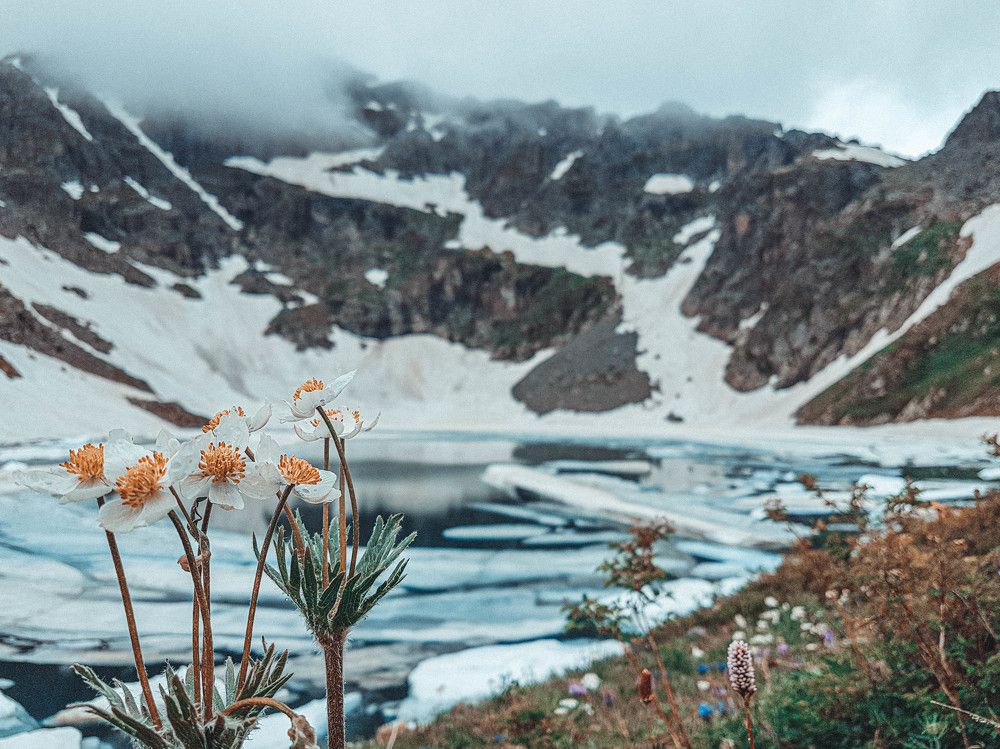 Photograph by Илья Найко