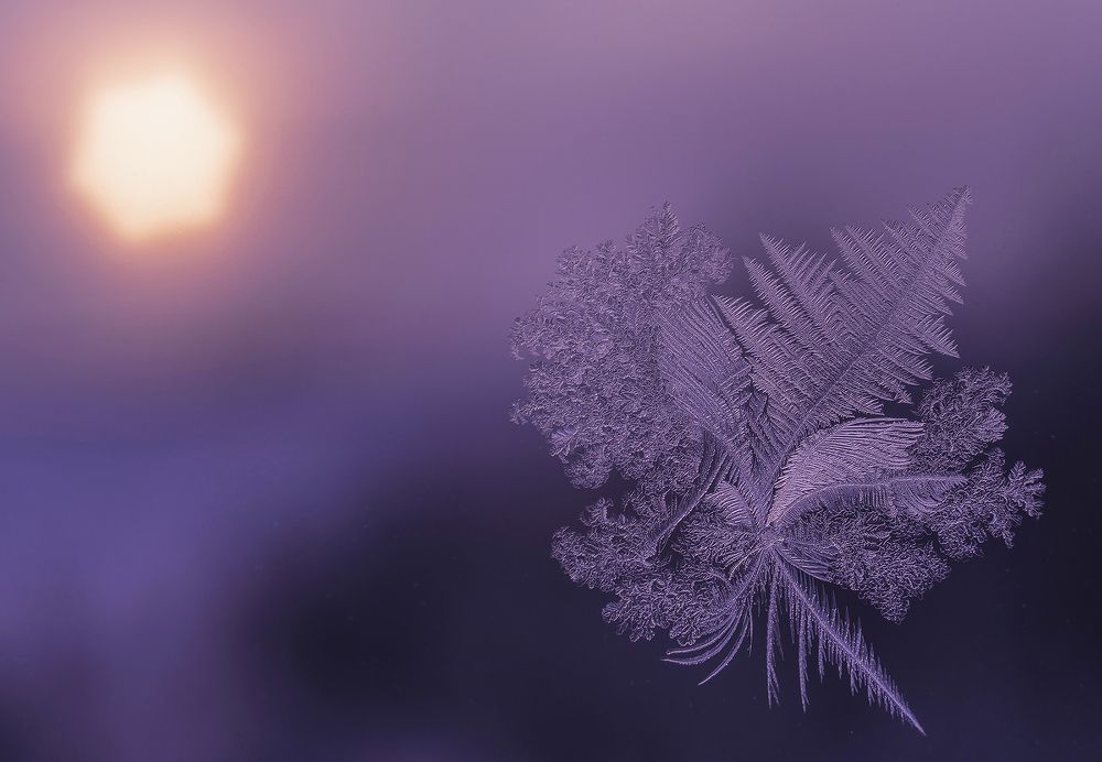 Морозный узор на стекле