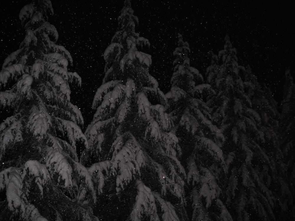 Photo #7014151