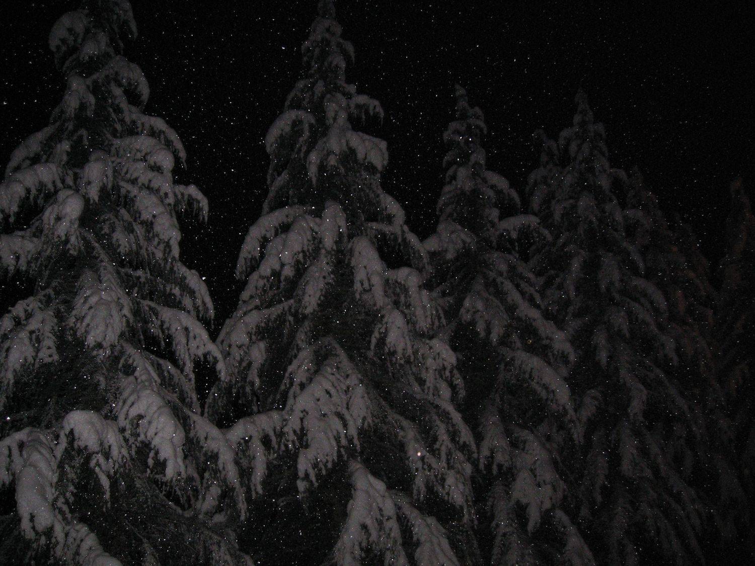 Photo #7014151