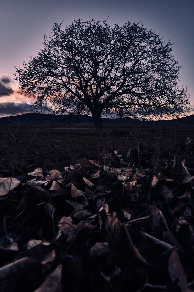 Photograph by Daniel Villalba Garcia