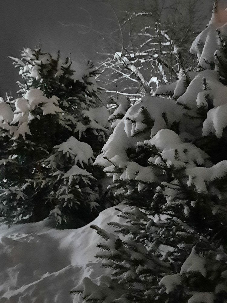 Photograph by Светлана Моисеева