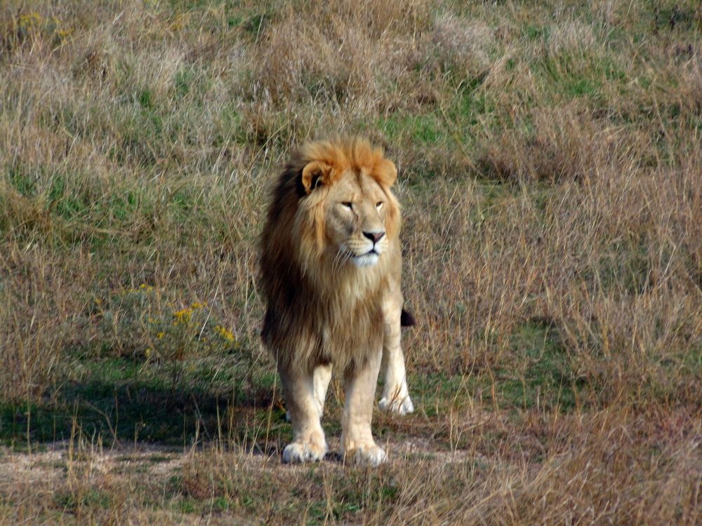 Photograph by Стаскевич Татьяна