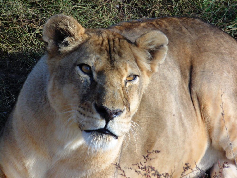 Photograph by Стаскевич Татьяна