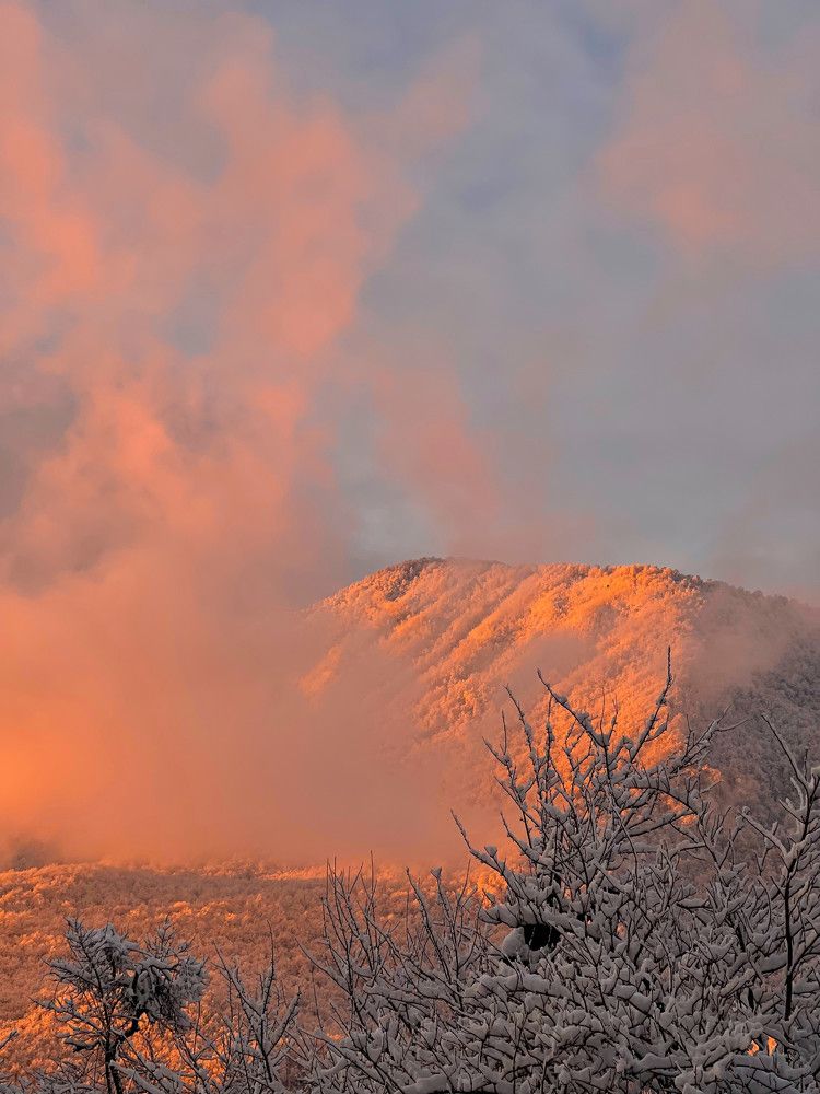 Photograph by Екатерина Горшкова