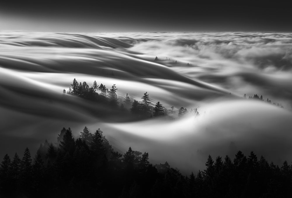 Rolling Fog