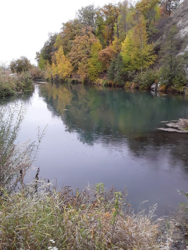 Photo #7014371