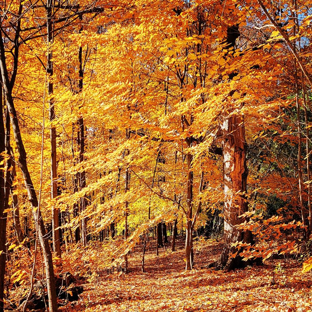 Photograph by Sharon Sabharwal