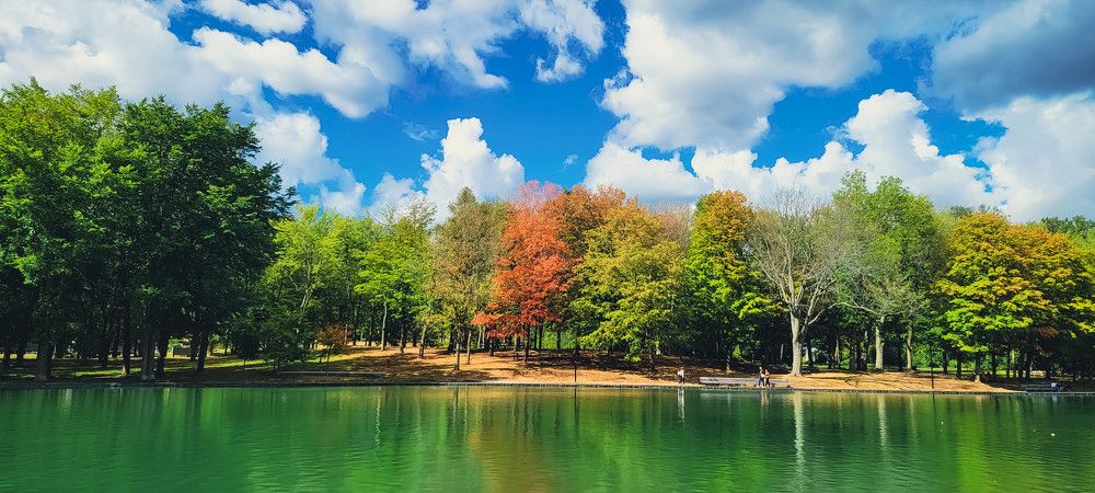 Photograph by Sharon Sabharwal