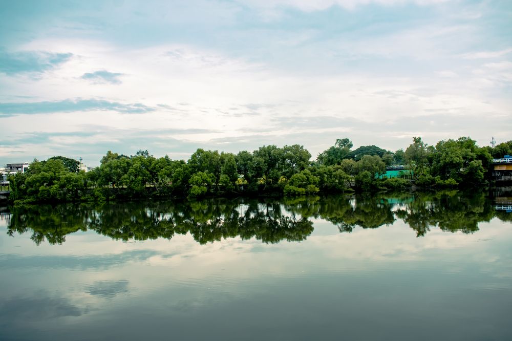 A  Walk in Esplanade