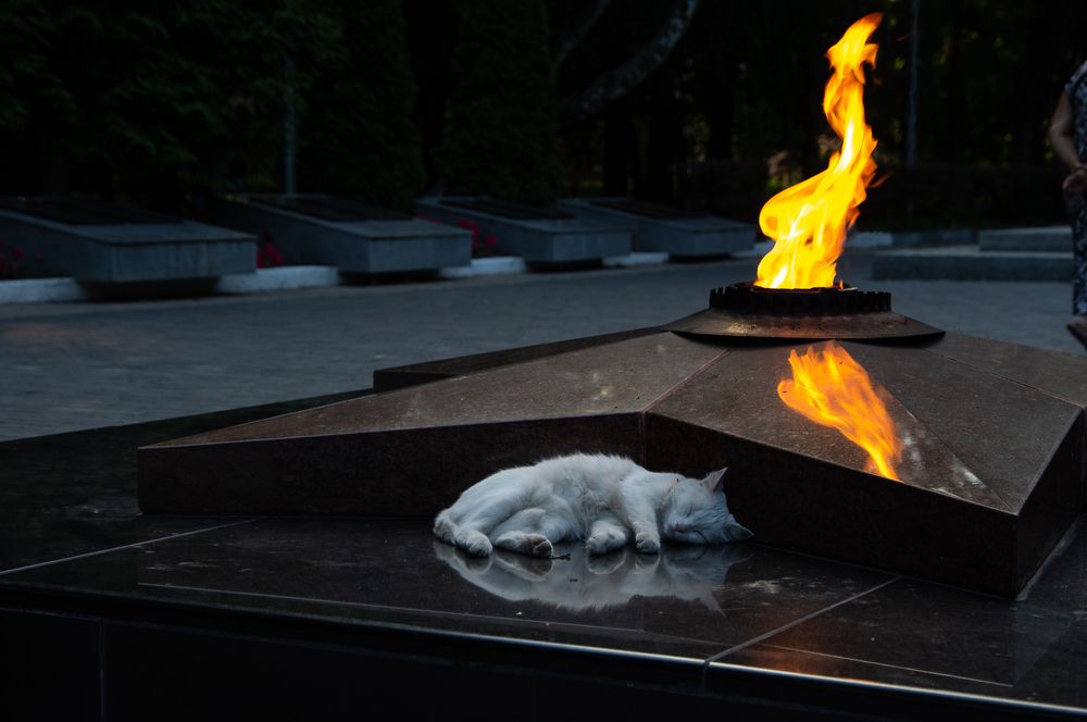 Фотография автора Ольга