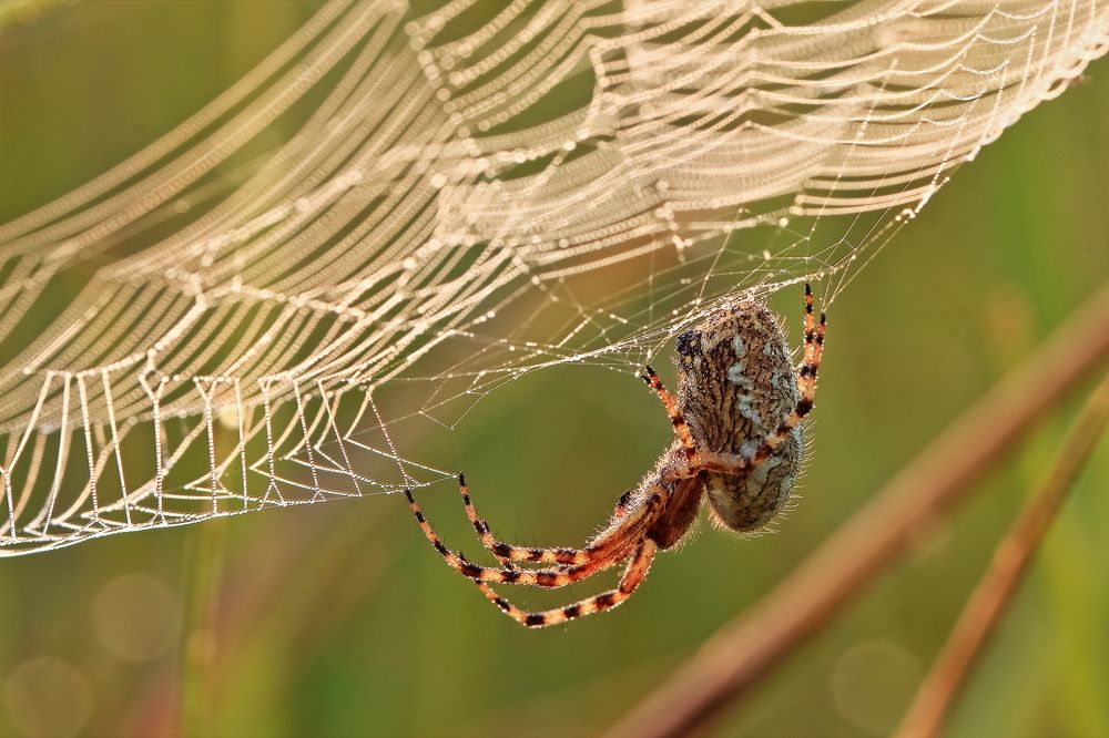 Photograph by Олег Резенов