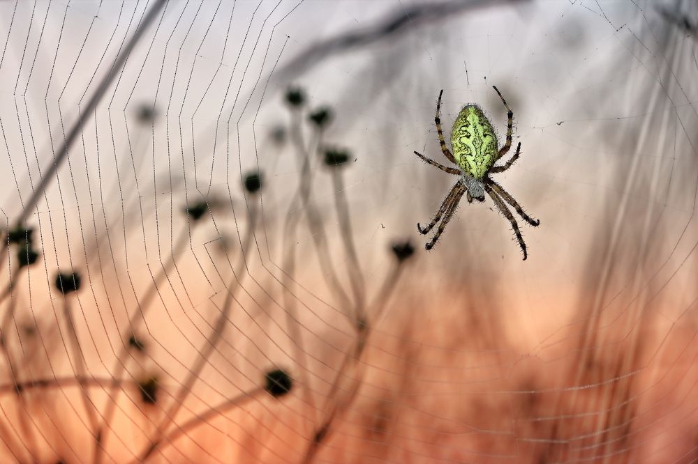 Photograph by Олег Резенов