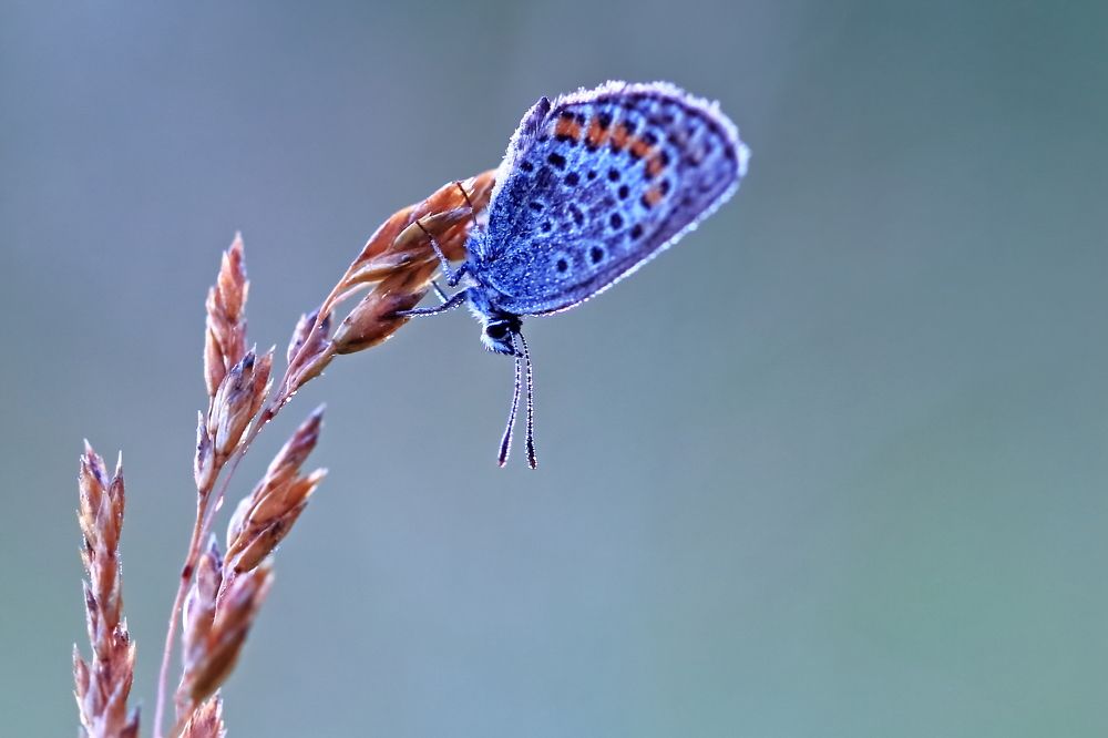 Photograph by Олег Резенов