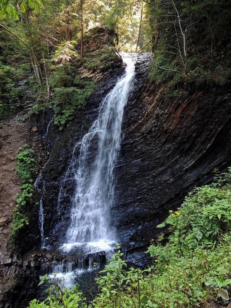 Фотография автора Роман Савоцкий