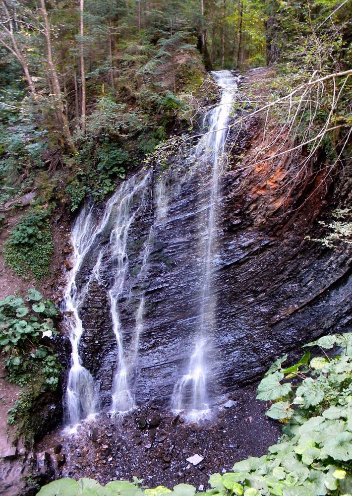 Фотография автора Роман Савоцкий
