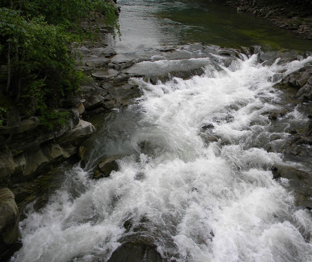 Фотография автора Савоцкий Роман