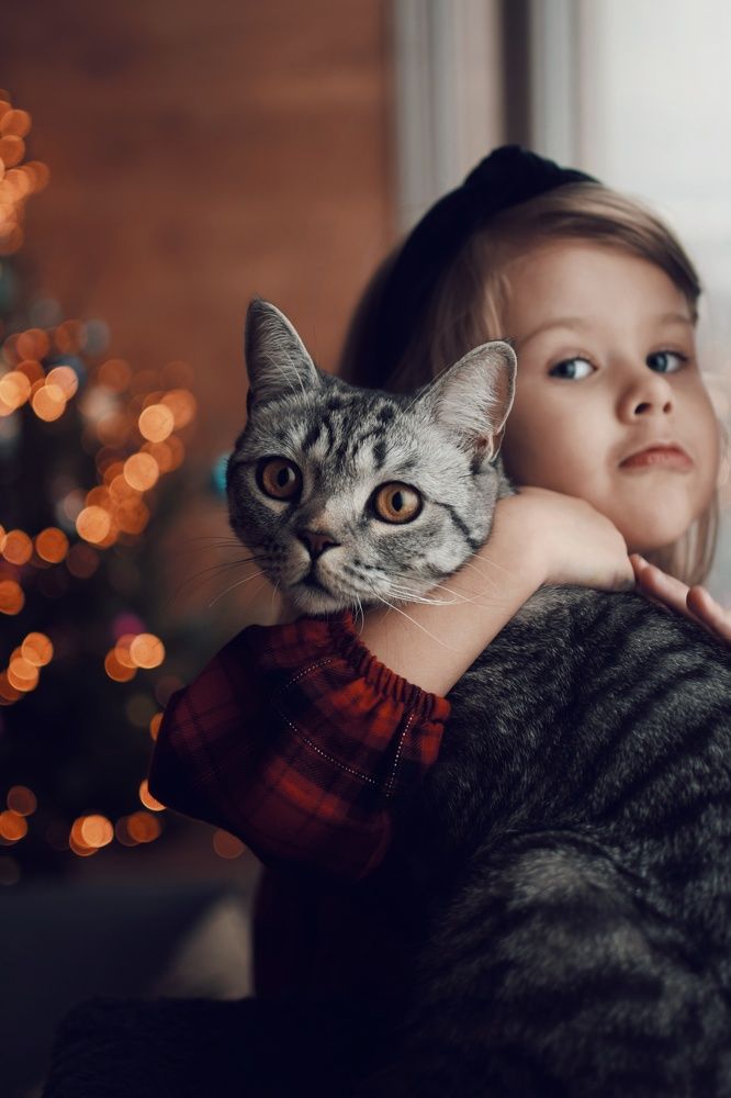 Photograph by Екатерина Долова