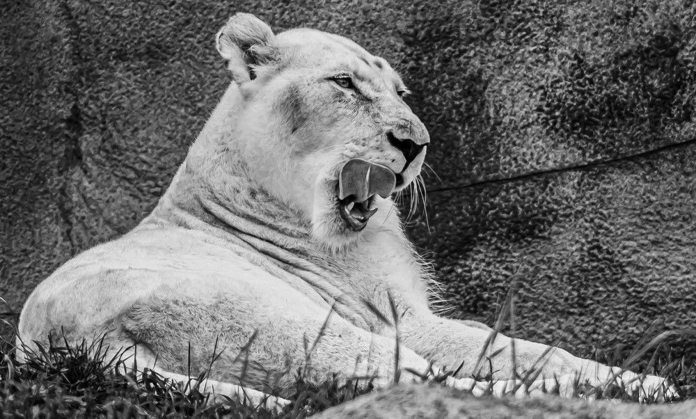 Photograph by Sharon Sabharwal