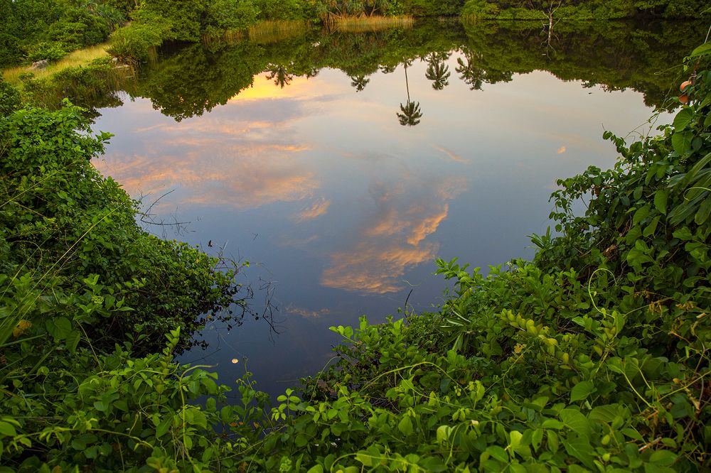 Фотография автора Sasindu Pramuditha