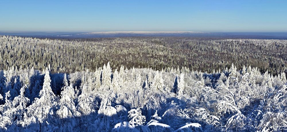 Photograph by Сергей Зубов