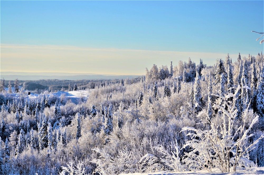 Photograph by Сергей Зубов