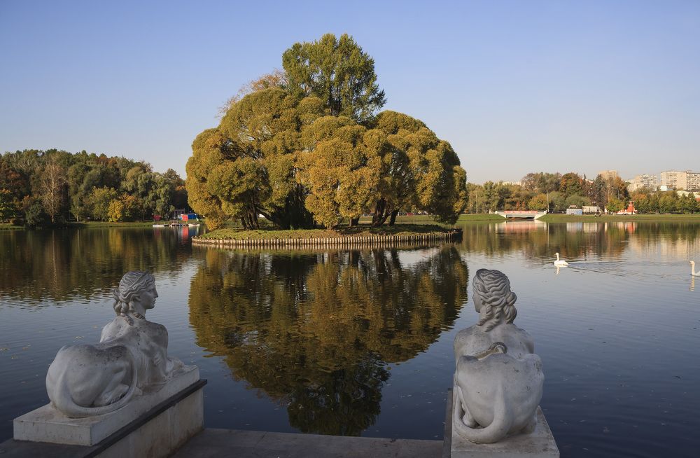 Photograph by Tatiana