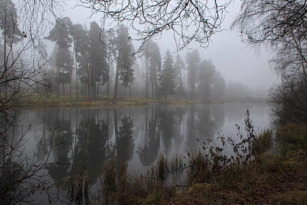 Photograph by Tatiana