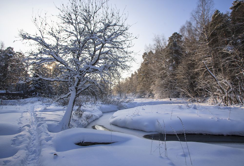 Photograph by Tatiana