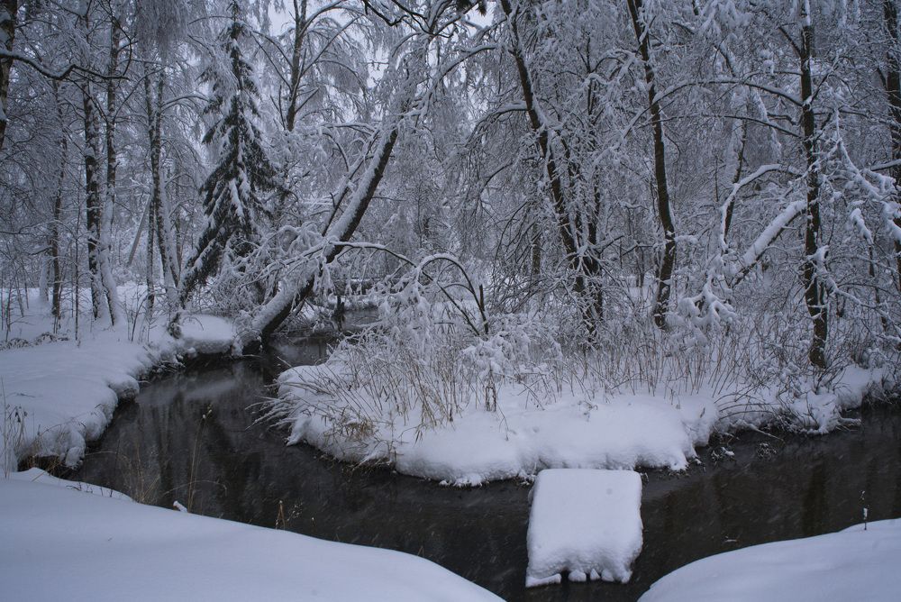 Photograph by Tatiana