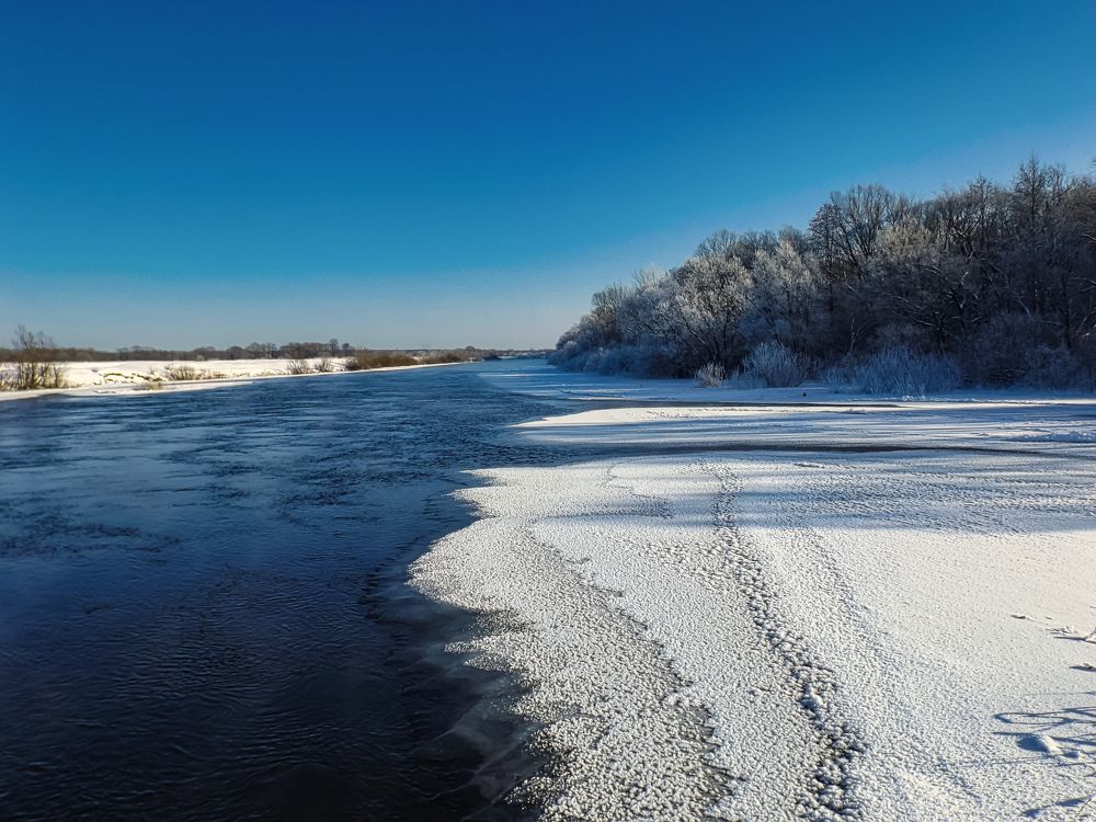 Фотография автора Oleg Podlesnykh