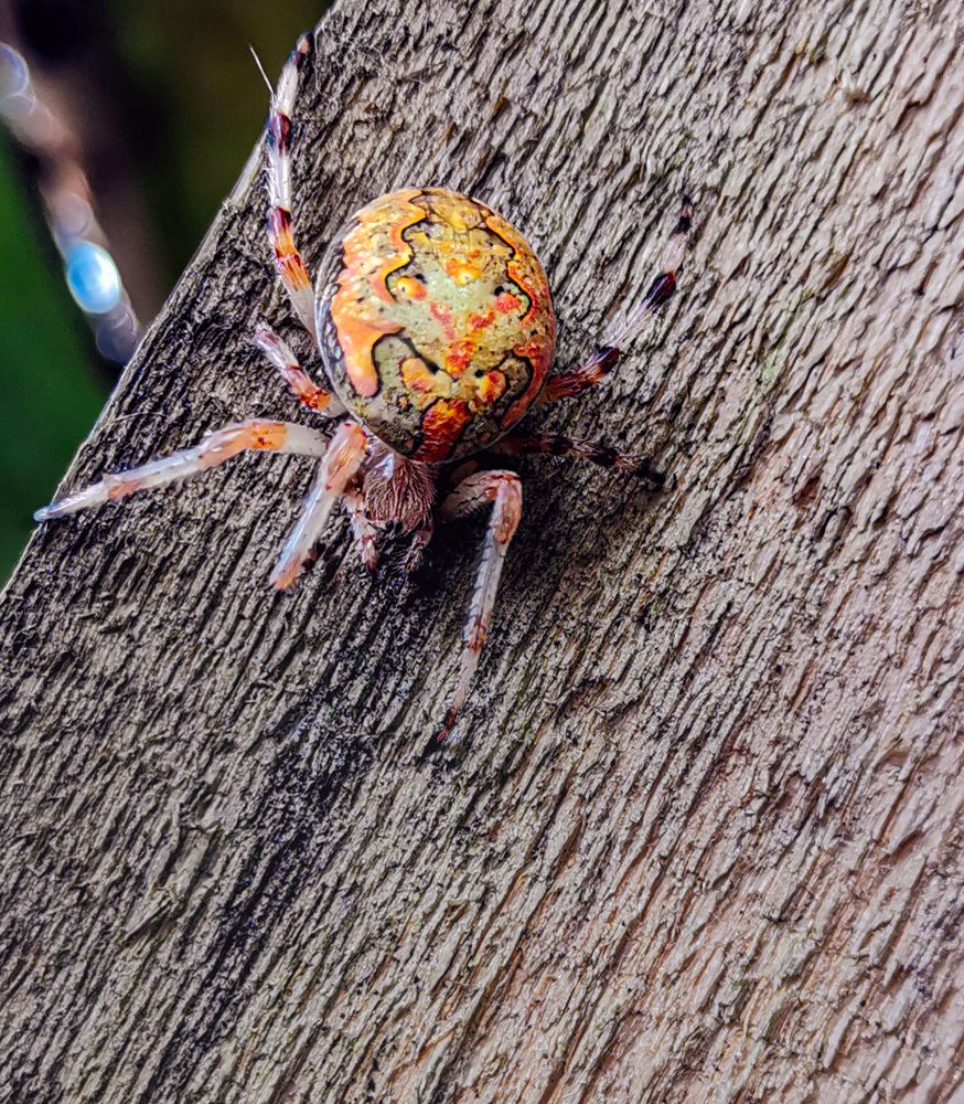 Photograph by Светлана Перминова