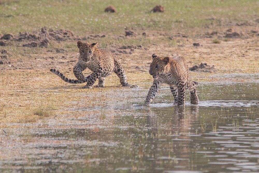 Photograph by Sudara Sansali De Silva