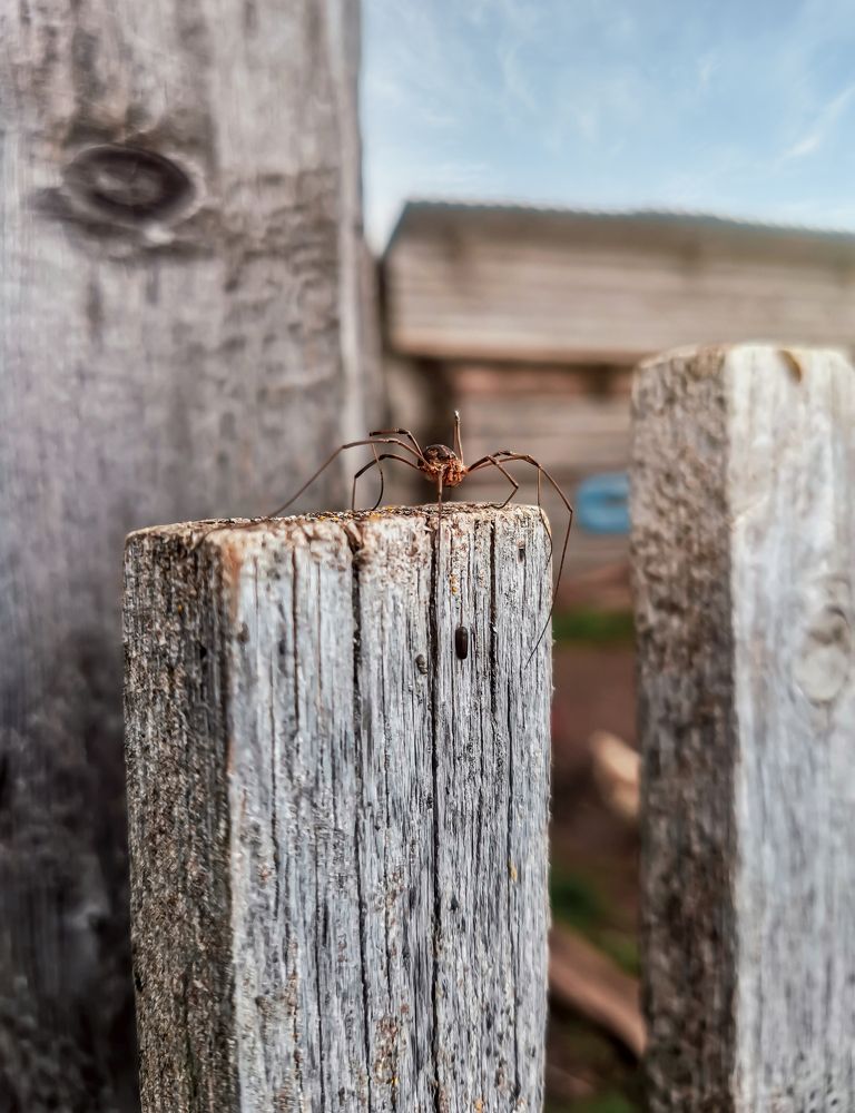 Photograph by Светлана Перминова