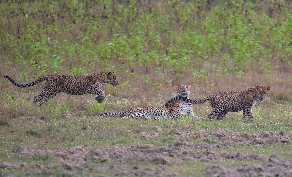 Photograph by Sudara Sansali De Silva