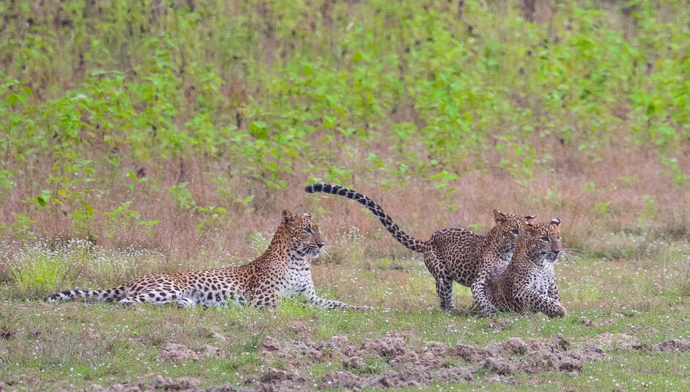 Photograph by Sudara Sansali De Silva