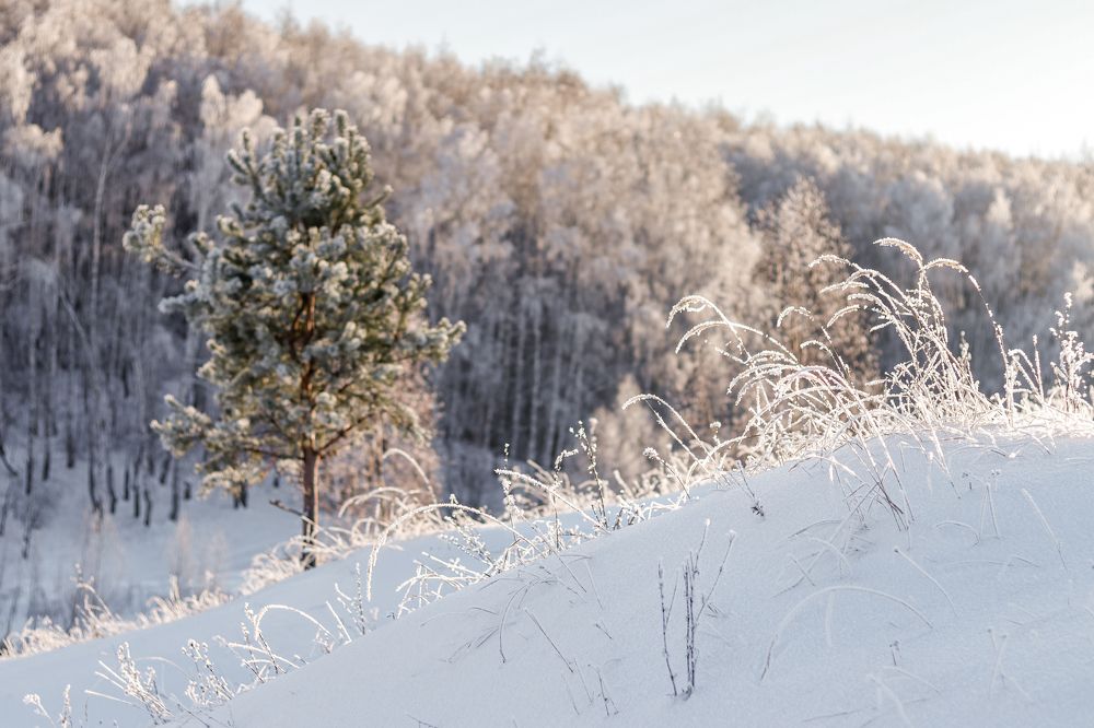 Photograph by Марина Слепова