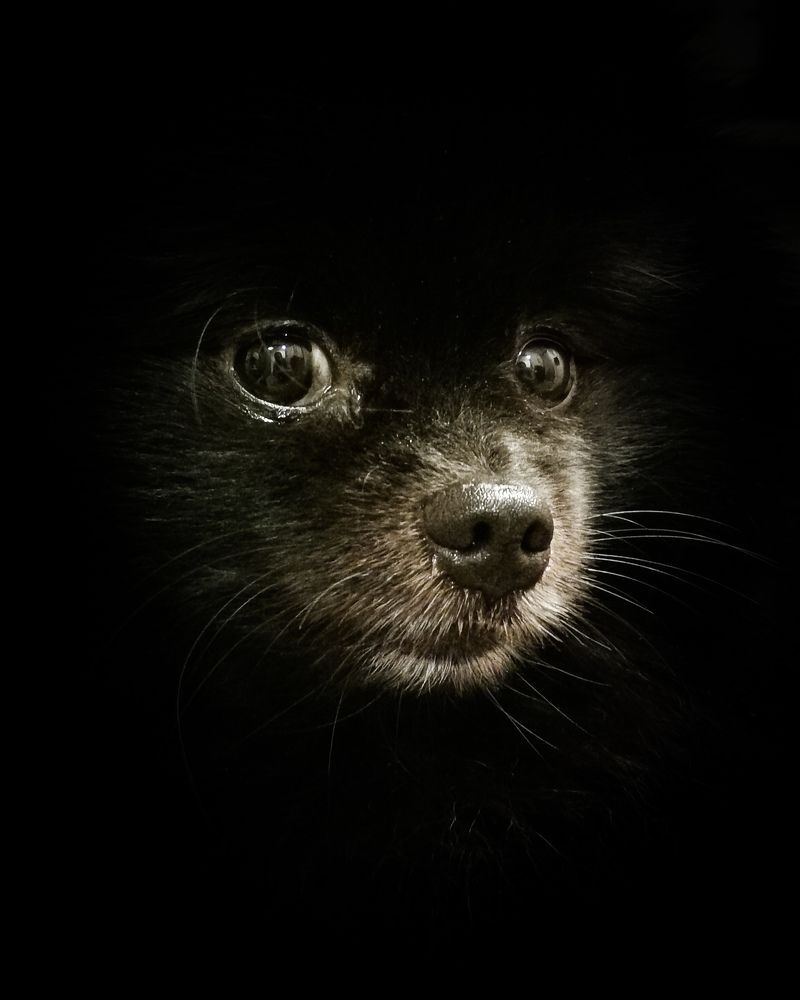 Фотография автора Александр Кадышев