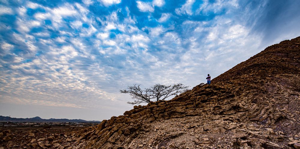The music of the nature