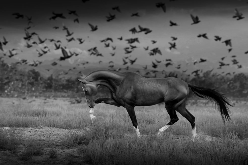 Наслаждаясь свободой