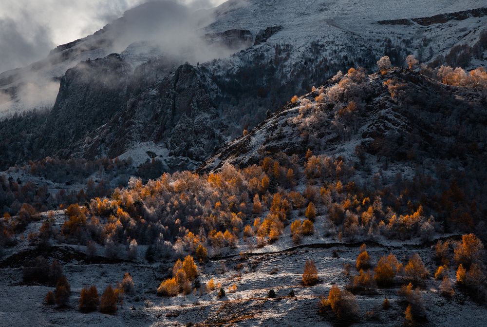 Фотография автора Филиппов Дмитрий