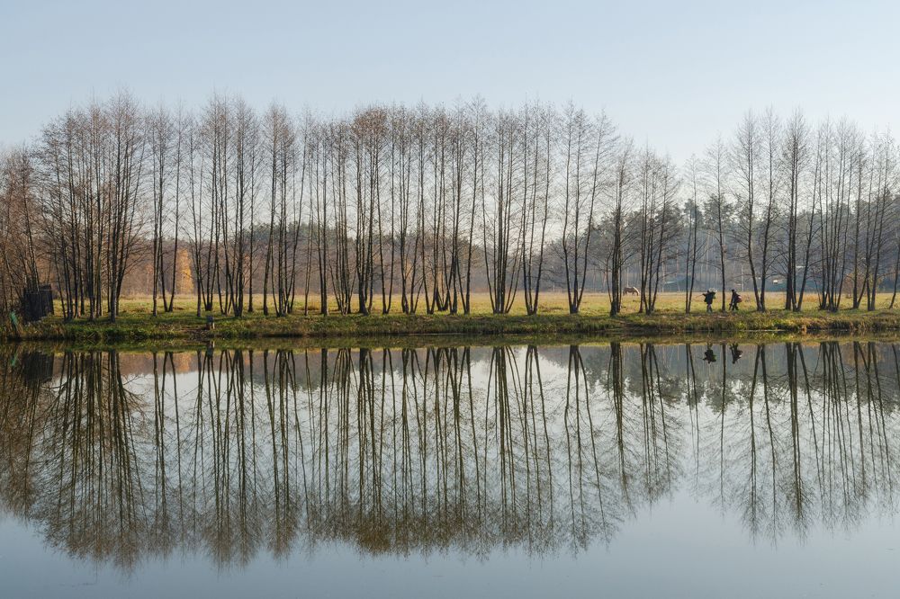 Прозрачным октябрём