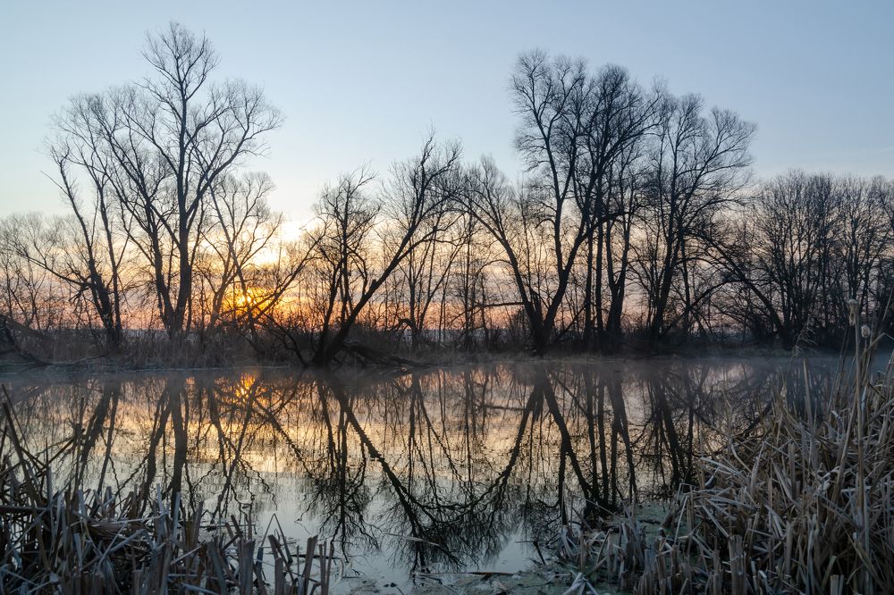 Пейзаж по Роршаху