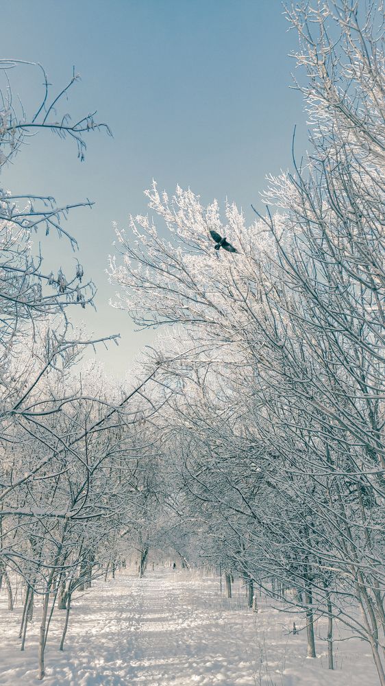 Photograph by Евгений Поляков