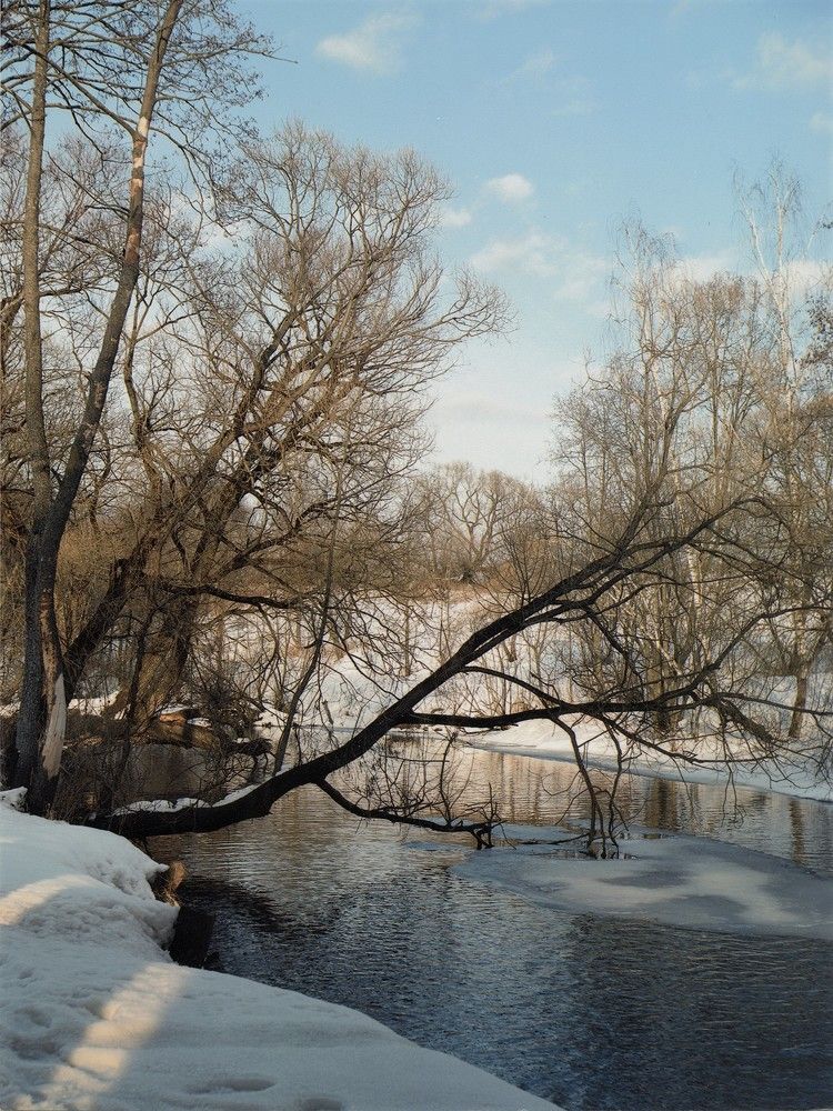 Лучи на снегу