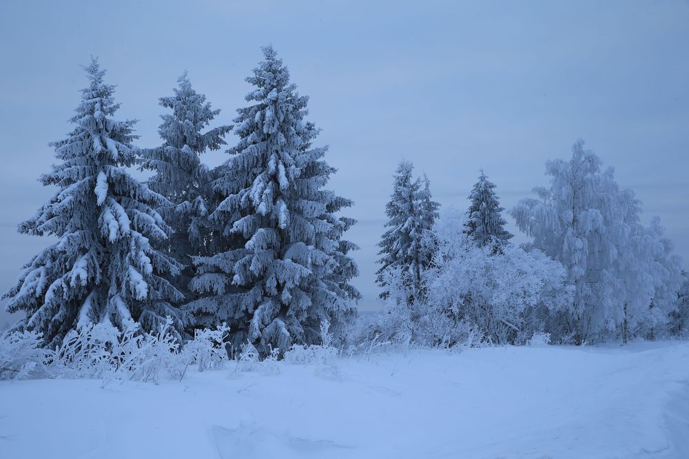 Фотография автора Юрий Кетель