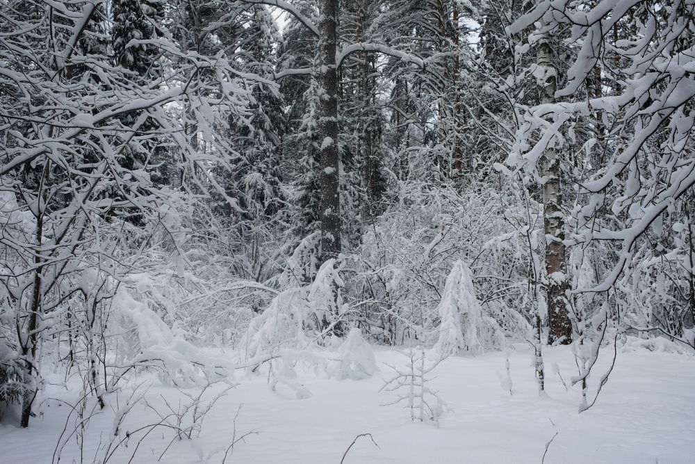 Photograph by Дмитрий