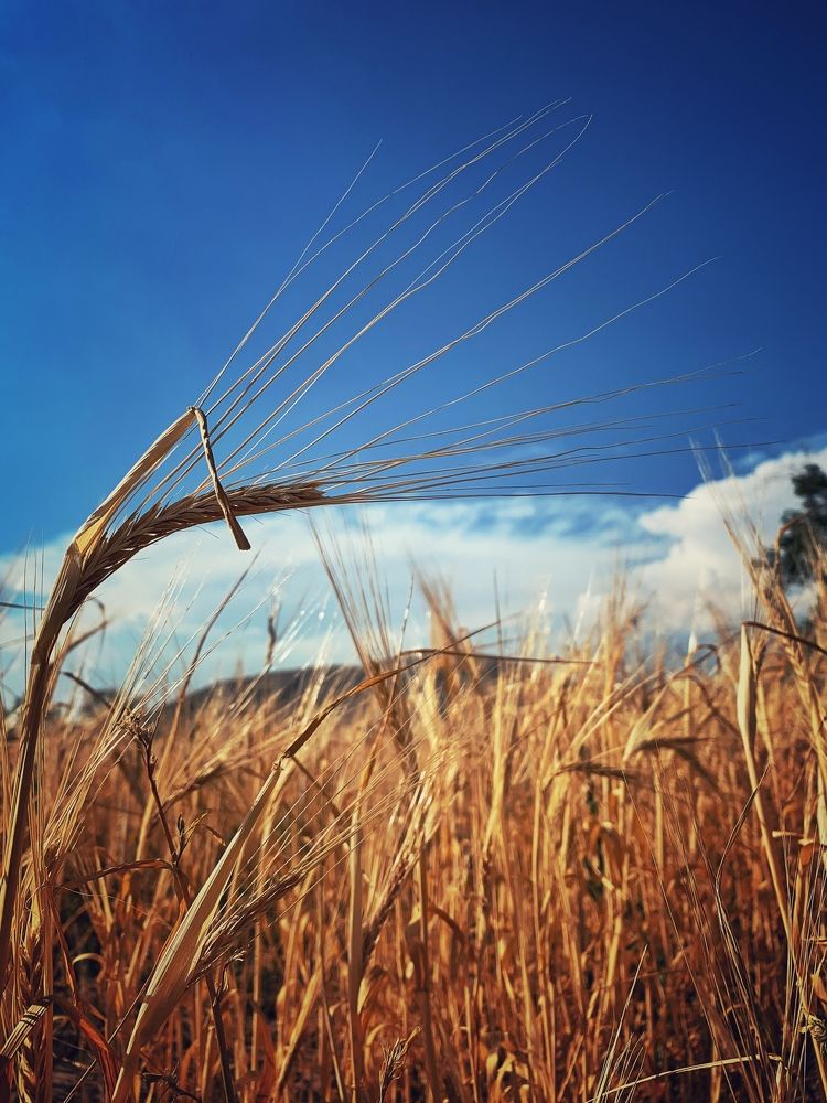 Photograph by Dmitry Baleevskikh