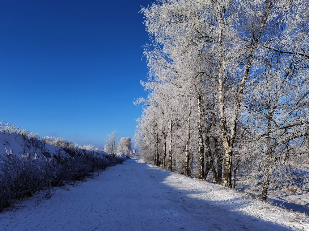 Photograph by Дмитрий Дрозд