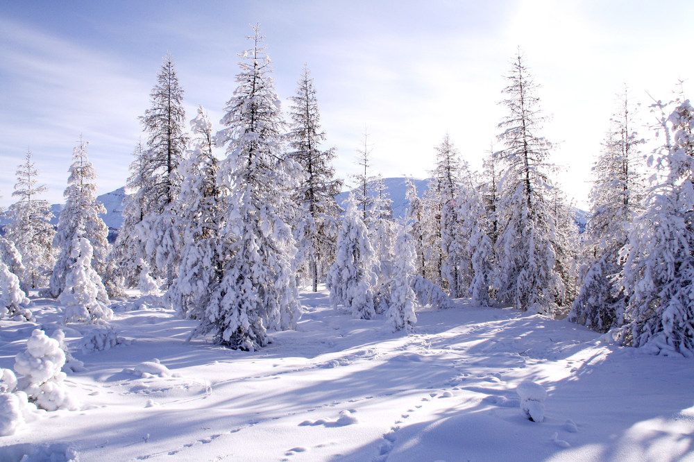 Photograph by Галина Искандарова